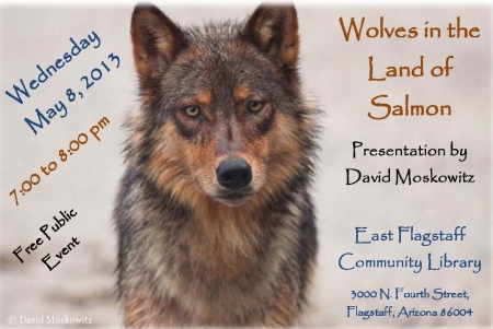 Wolves in the Land of Salmon presentation image